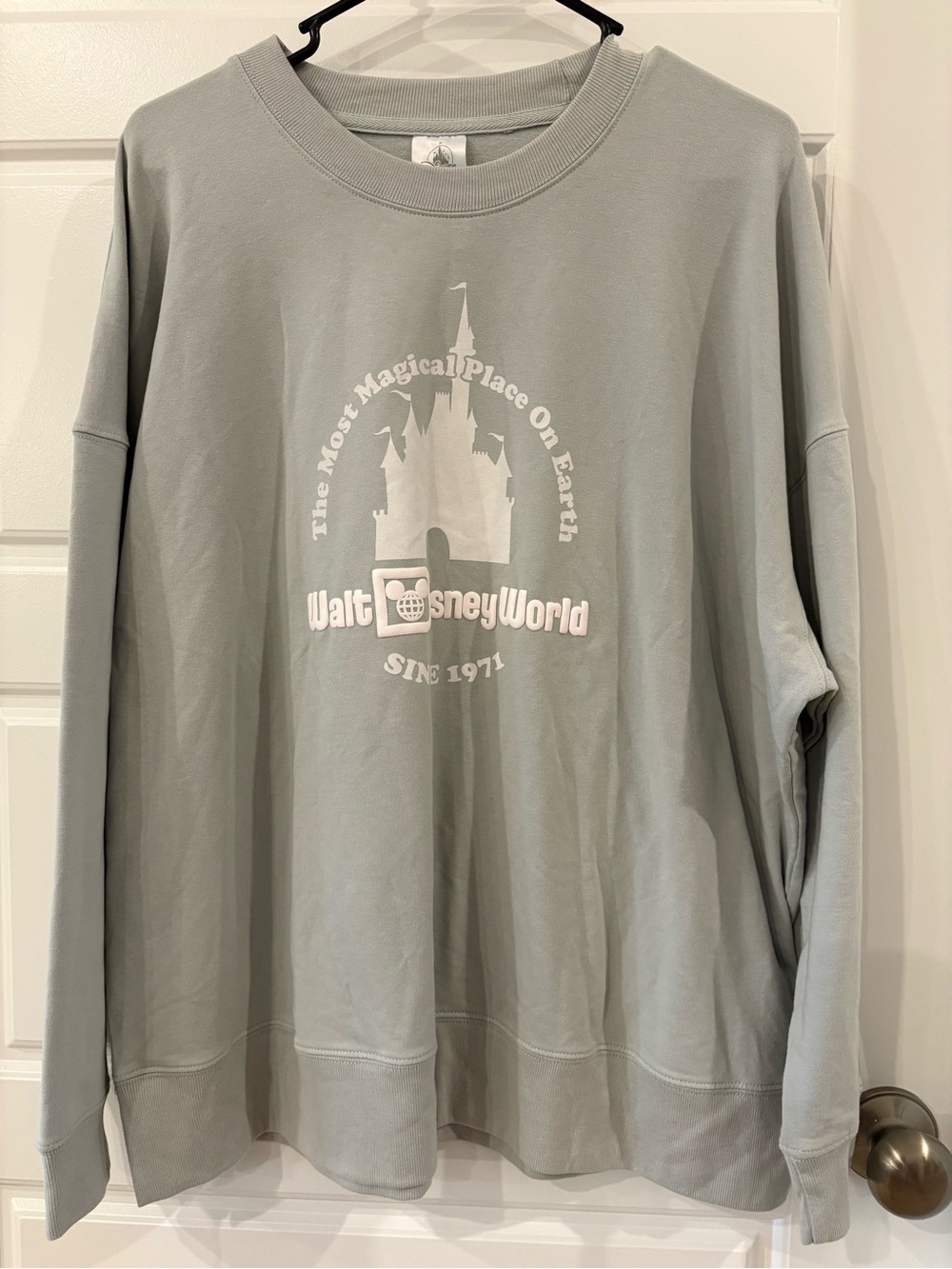 Walt Disney World Sweatshirt Size XL Sage Green Long Sleeve Crewneck